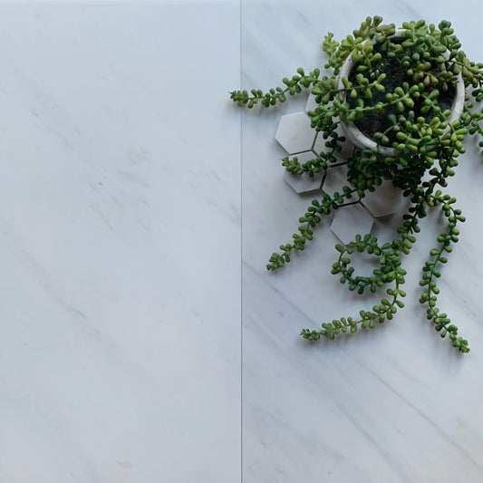 Large rectangle white honed marble tile Tiles – Marble