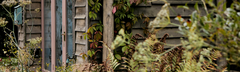 Case Study: Designer Pearl Lowe