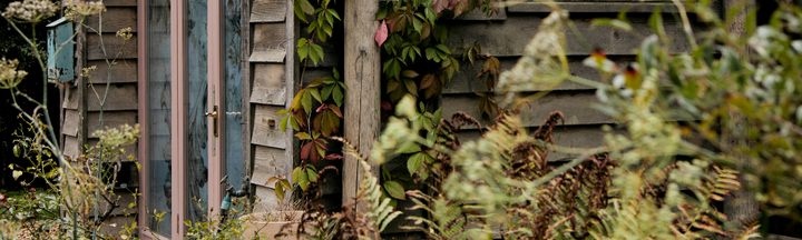 Case Study: Designer Pearl Lowe