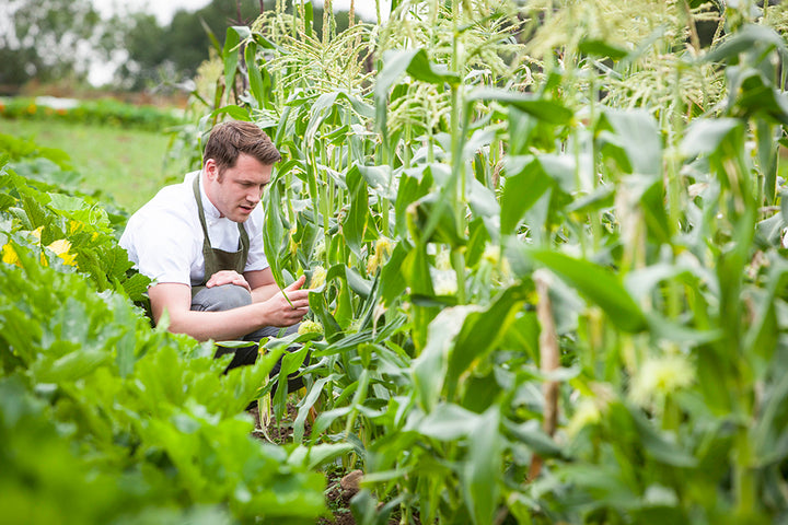 We chat to York based chef Tommy Banks