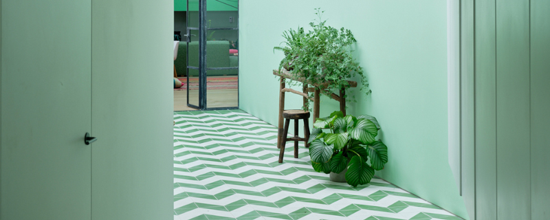 Meet the Designer: Tricia Guild