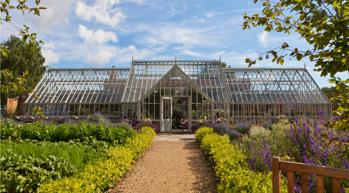 Greenhouses: What you didn't know - Nelly Hall, Creative Director Alitex