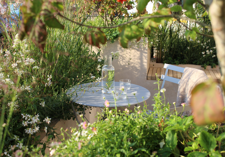 Case Study: Alexandra Noble’s dazzling Chelsea Garden