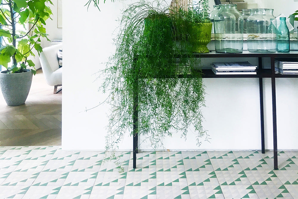 Green: A Colour Story