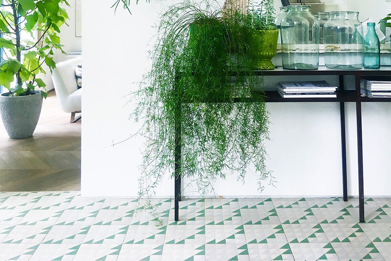 Green: A Colour Story