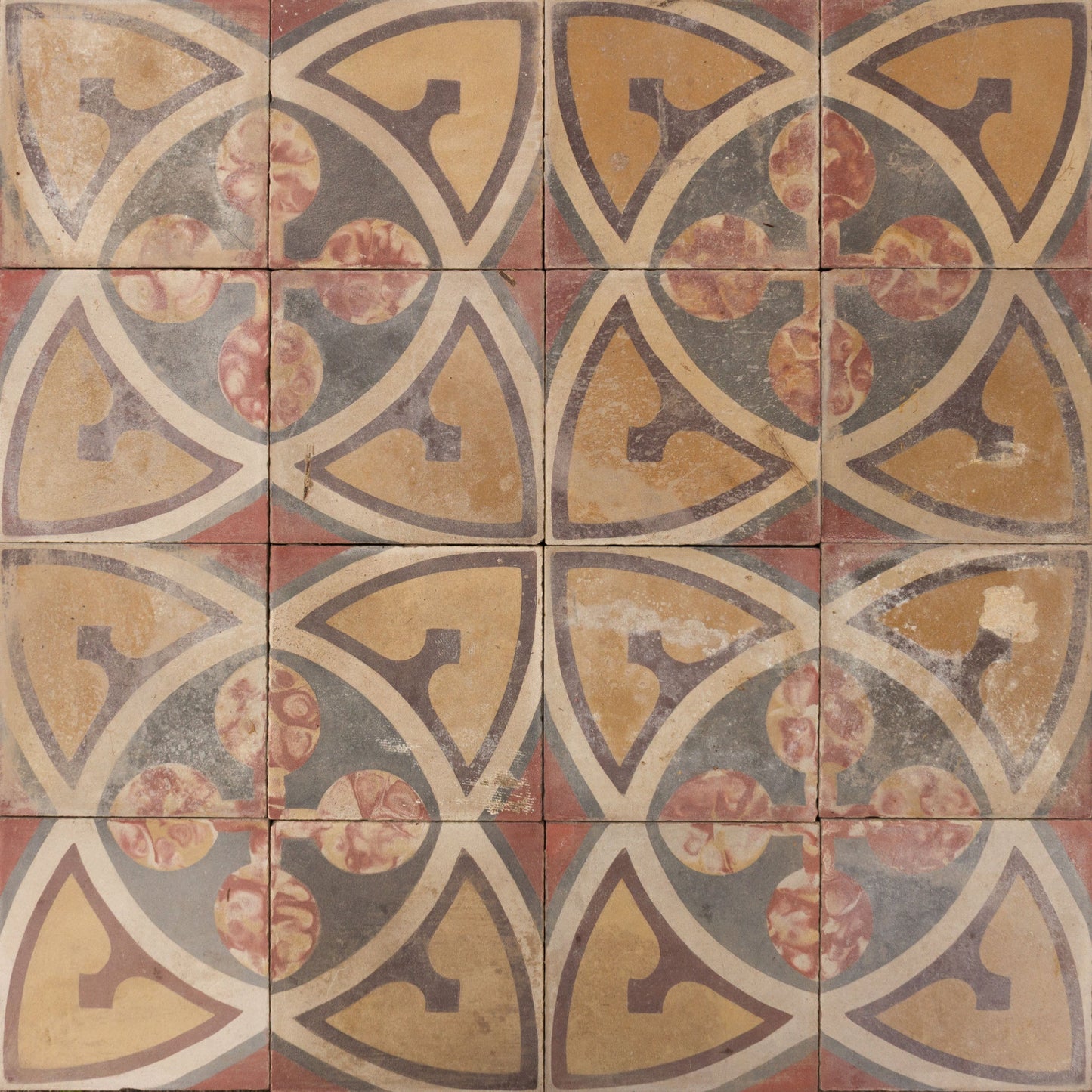Reclaimed Ortigia