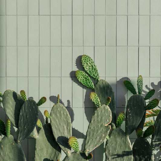 Liquor Herringbone Cement Tile
