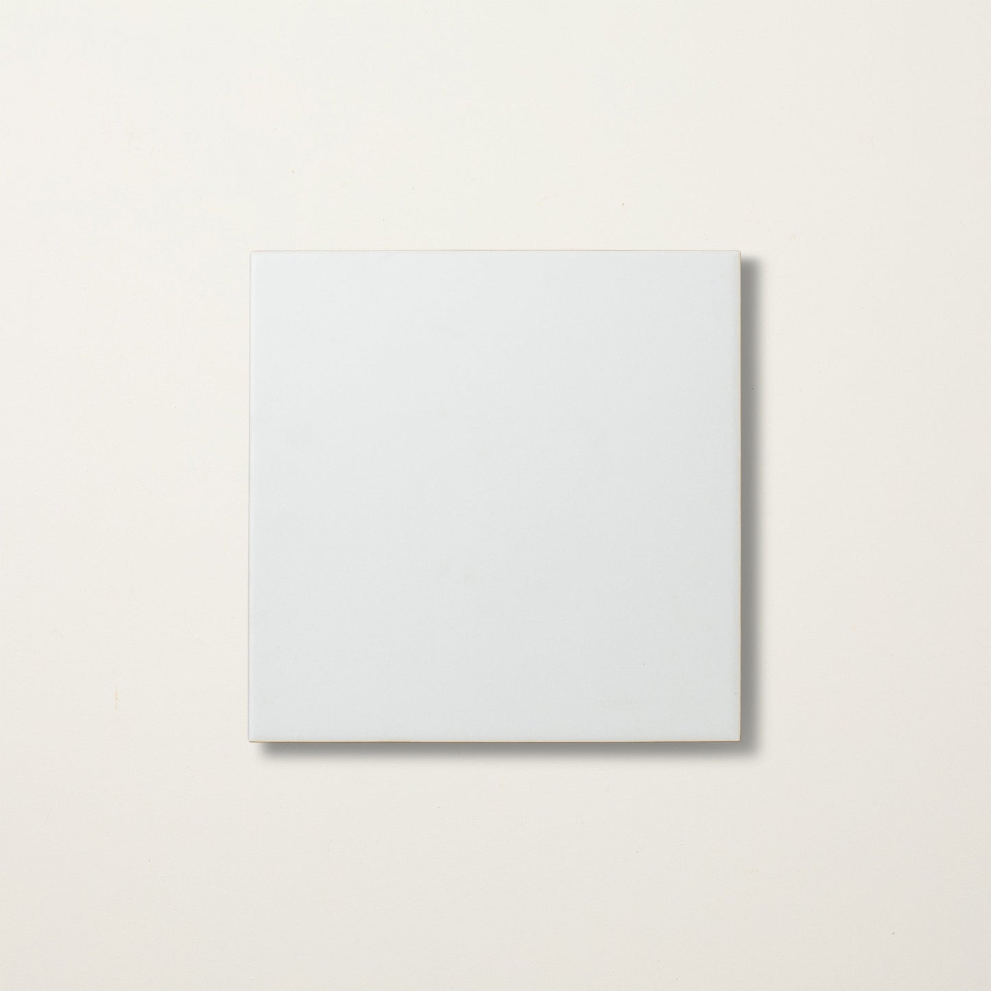 Earth White Porcelain Tile