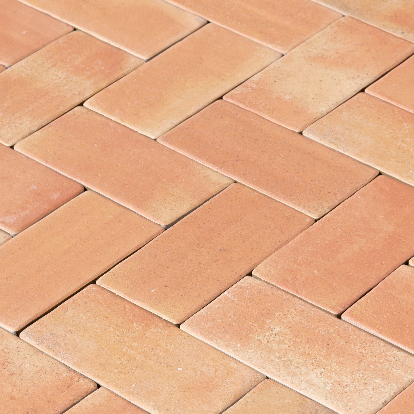 Cotto Terracotta Remastered 11x22
