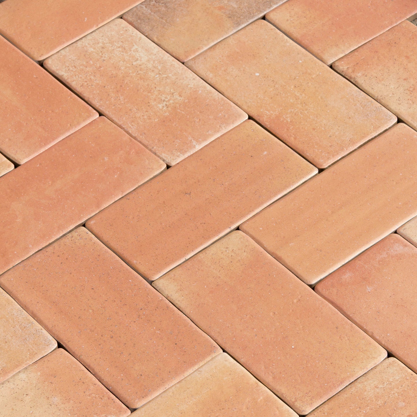 Cotto Terracotta Remastered 11x22