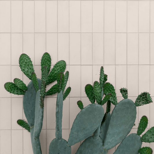 Dripping Herringbone Cement Tile